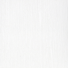 Load image into Gallery viewer, Bazzill Fourz Cardstock, 216gsm (80lb)