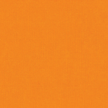 Load image into Gallery viewer, Bazzill Fourz Cardstock, 216gsm (80lb)