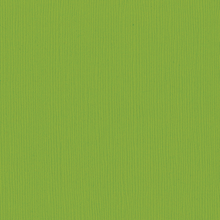 Load image into Gallery viewer, Bazzill Fourz Cardstock, 216gsm (80lb)