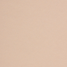 Load image into Gallery viewer, Curious Metallics Nude