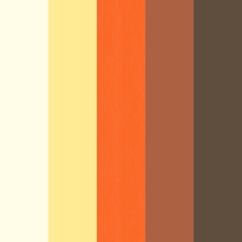 Load image into Gallery viewer, Matte Cardstock
