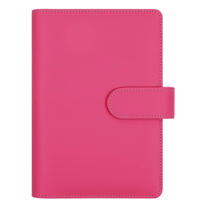 fuchsia budget binder